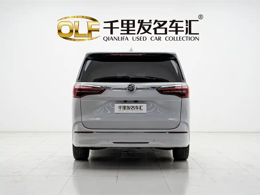 Buick GL8 2022 ES Landmark 653T Luxury фото 5