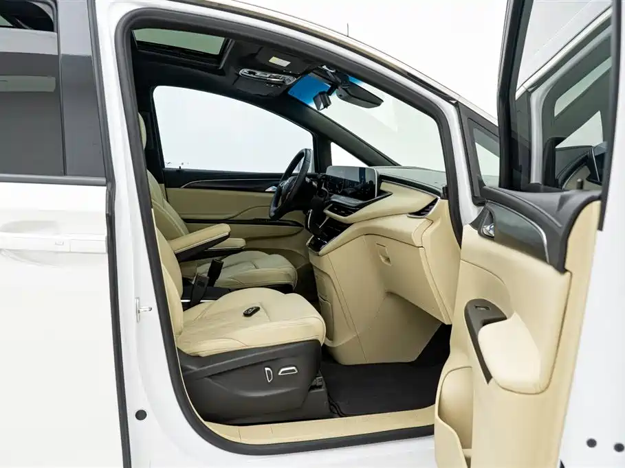 Buick GL8 2022 ES Landmark 653T Luxury фото 17