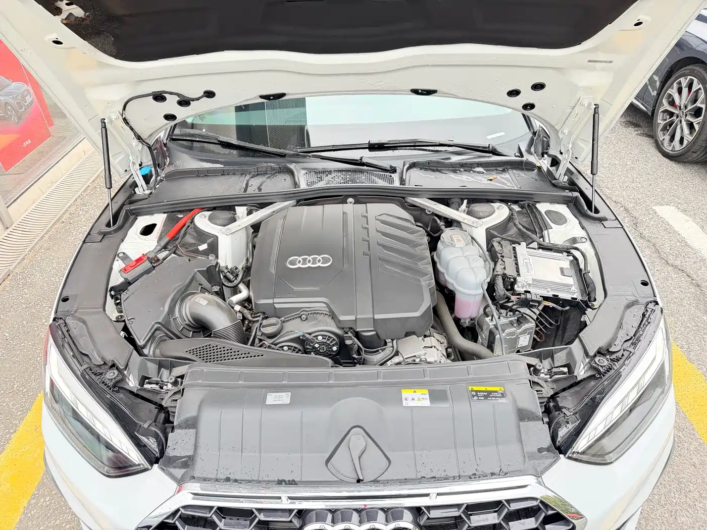 Audi A5 (Import) 2024 Sportback 40 TFSI Fashion Dynamic фото 11