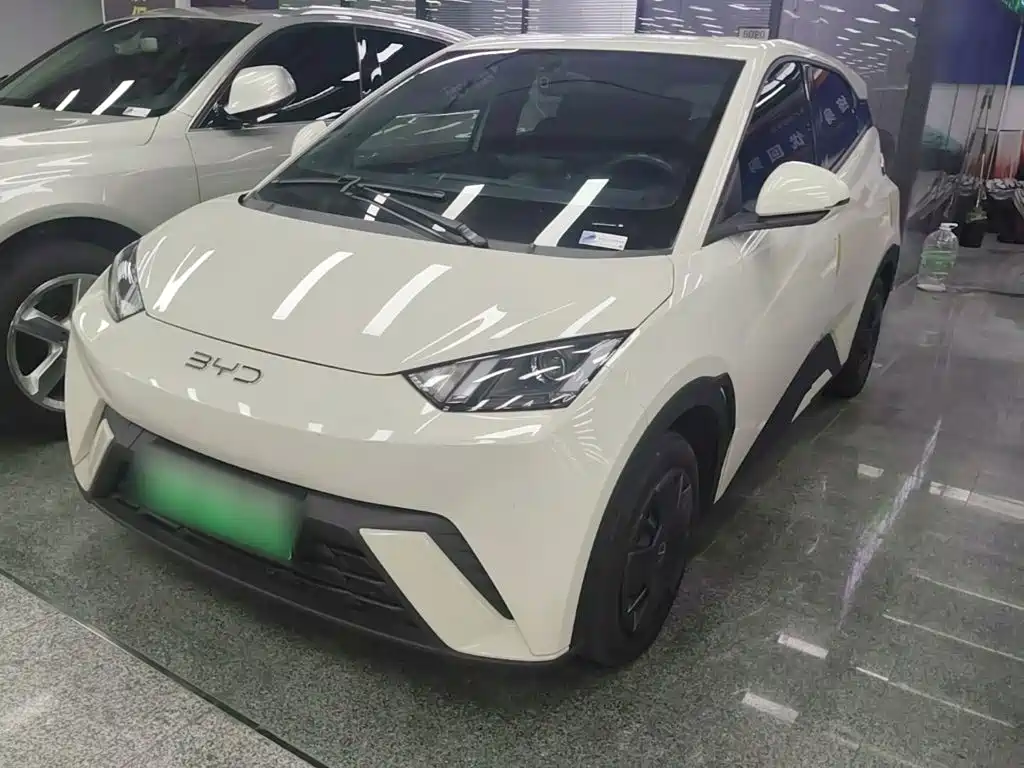 BYD Seagull 2024