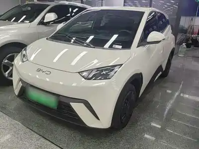 BYD Seagull