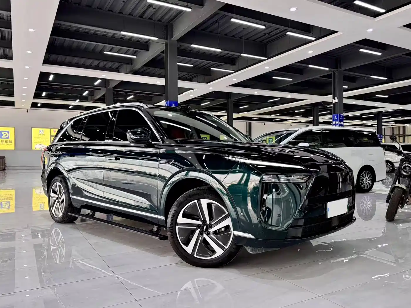 WEI PAI WEI BRAND BLUE MOUNTAIN