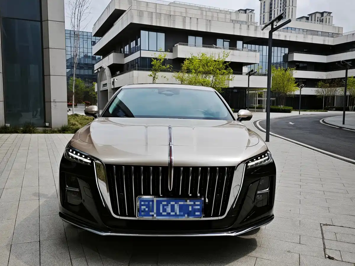 Hongqi H5 2024 2.0T Automatic Smart Connect Flag Smooth Edition фото 2
