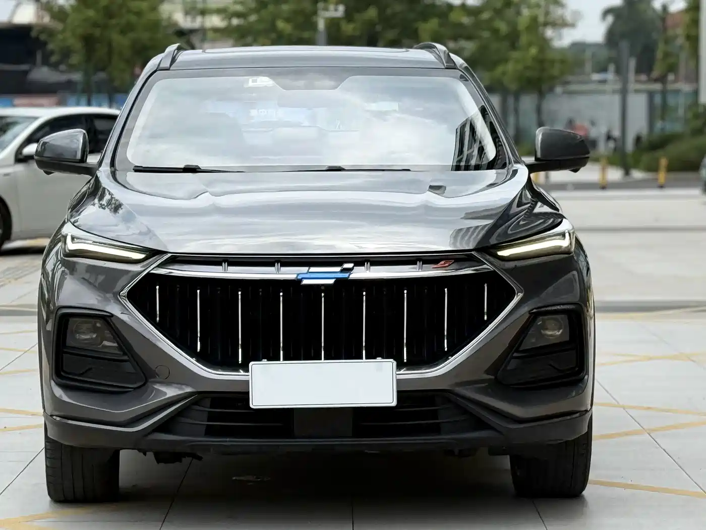 Фото 13 - Changan Oshan Changan Oushang X5