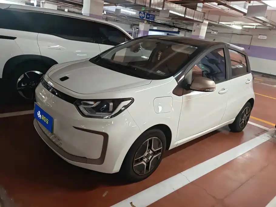 Sehol Flower Fairy 2022 2021 302km Fashion Edition 31.4kWh
