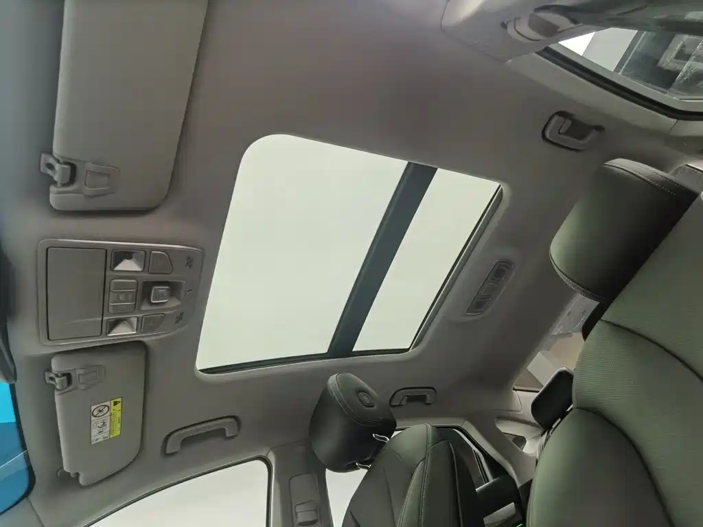 Geely Borui 2022 2021 1.8T Pilot Edition+