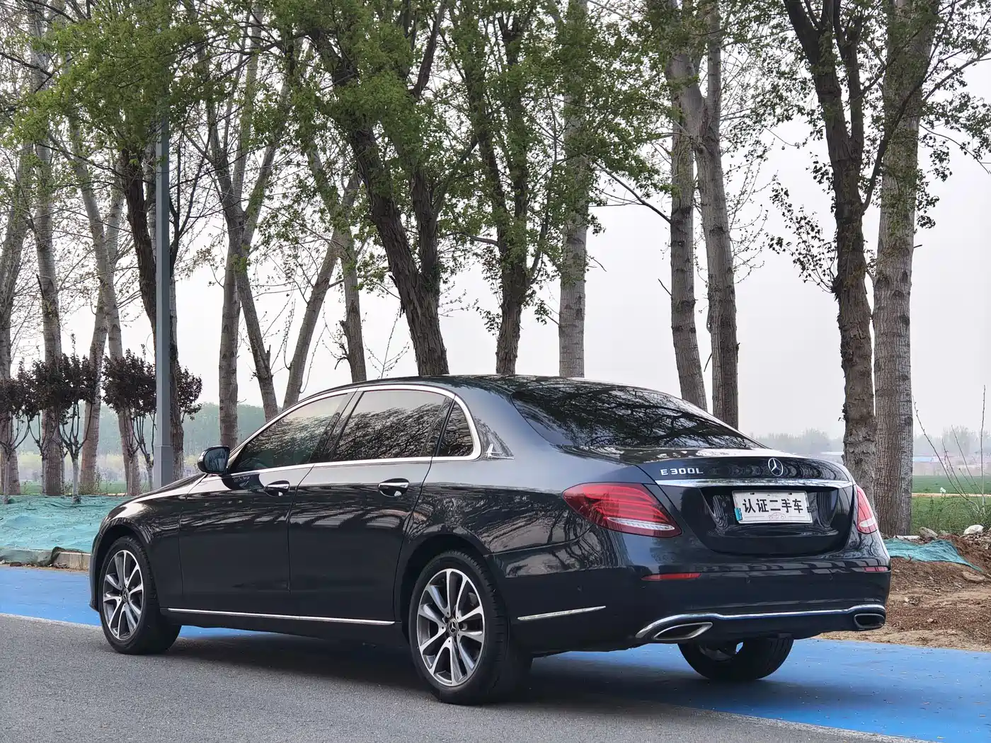 Mercedes-Benz E-Class 2017 E 300 L Luxury фото 7