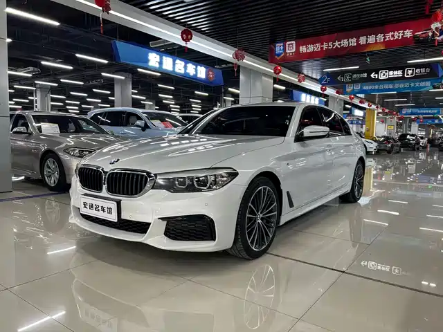 BMW 5 SERIES