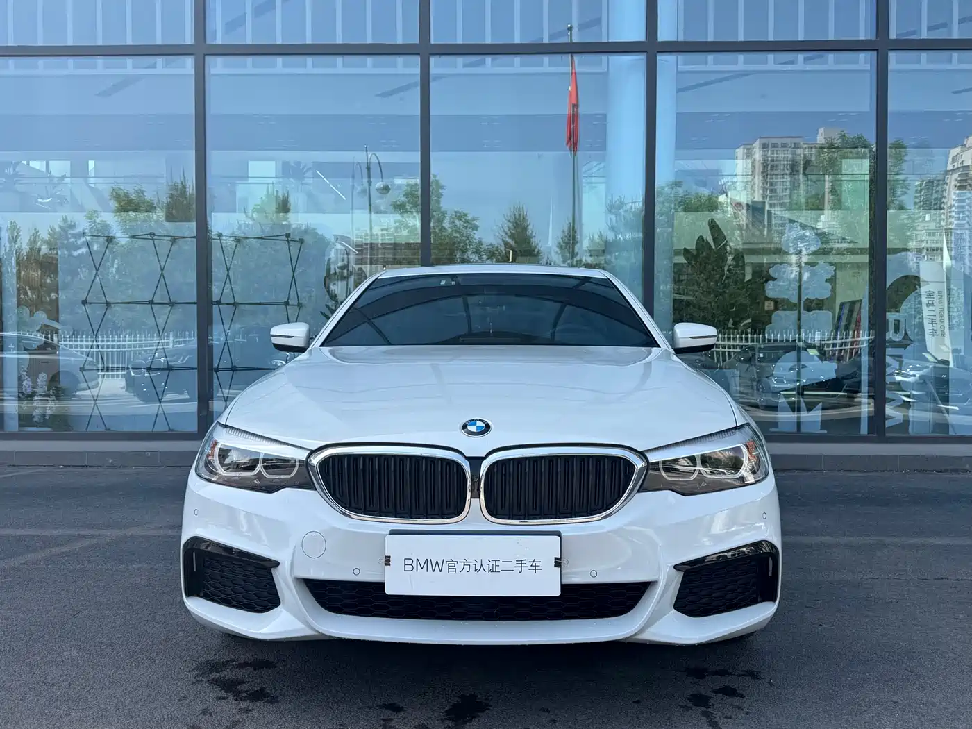 BMW 5 Series 2019 530Li Leading M Sport Package фото 2