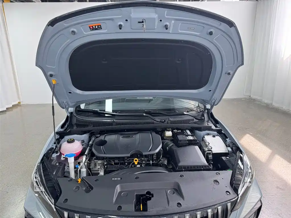 GEELY AUTOMOBILE BINRUI