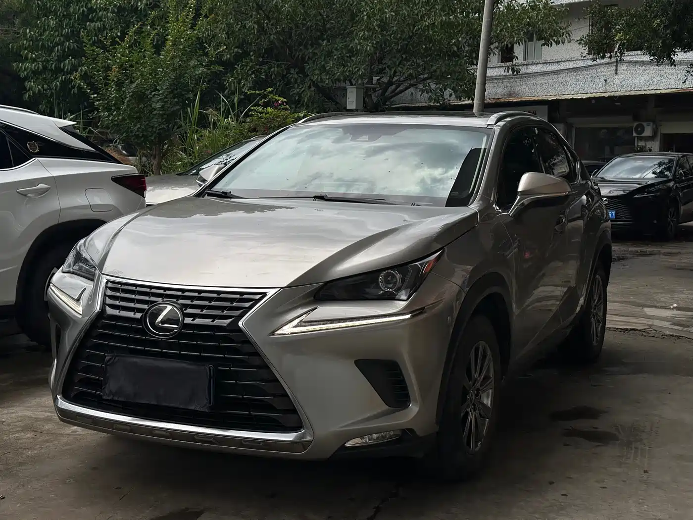 Lexus NX 2020 200 AWD F Sport China VI