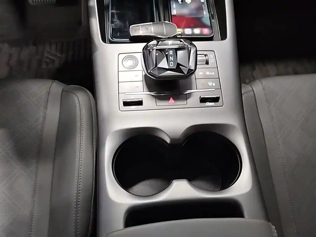 BYD Qin PLUS 2025 DM-i Smart Drive 55KM Leader фото 14