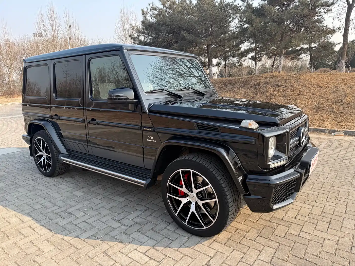 Mercedes-Benz G-Class AMG 2016 Model AMG G 63 Edition 463 фото 5