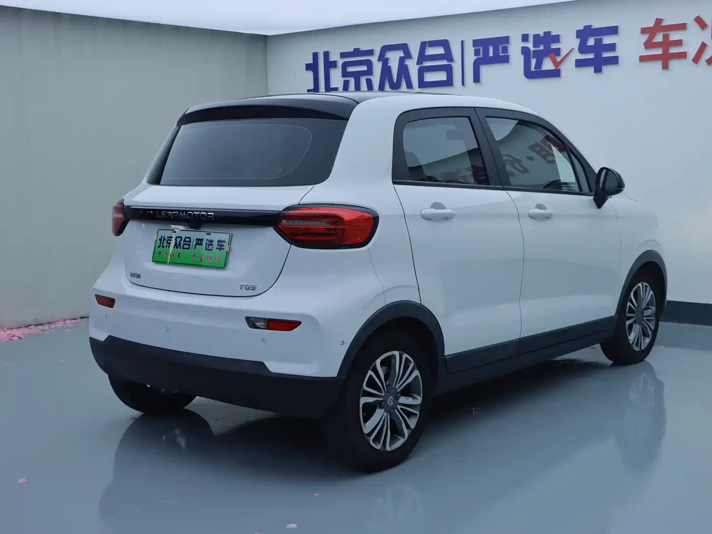 Leapmotor T03 2021 2021 400 Luxury Edition