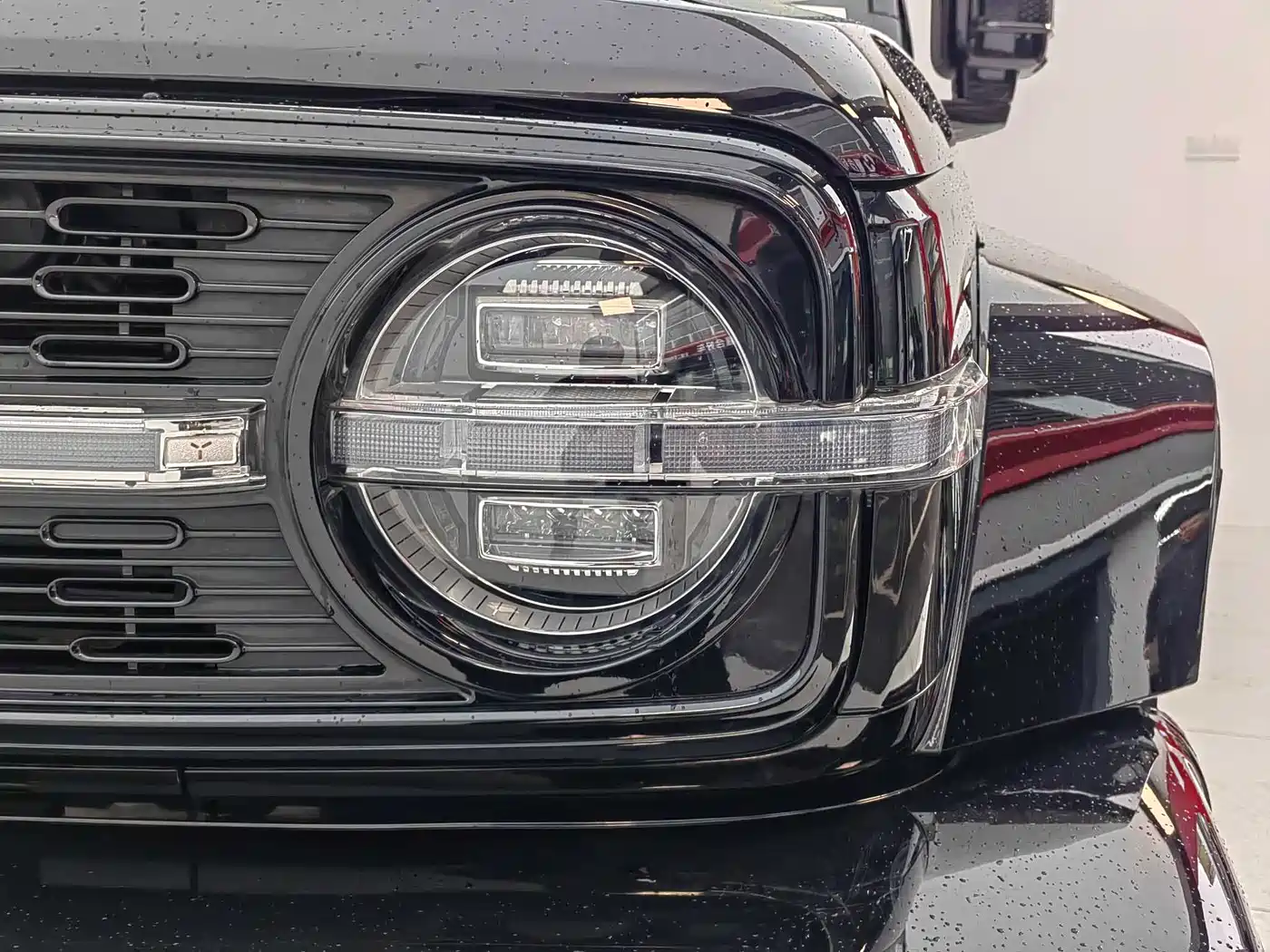 TANK CO CREATION TANK 300