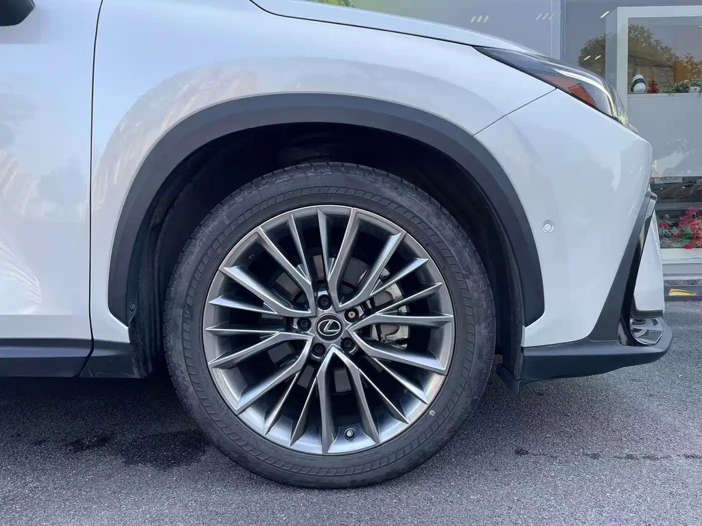 Lexus NX New Energy 2022 2022 400h+ Premium Edition