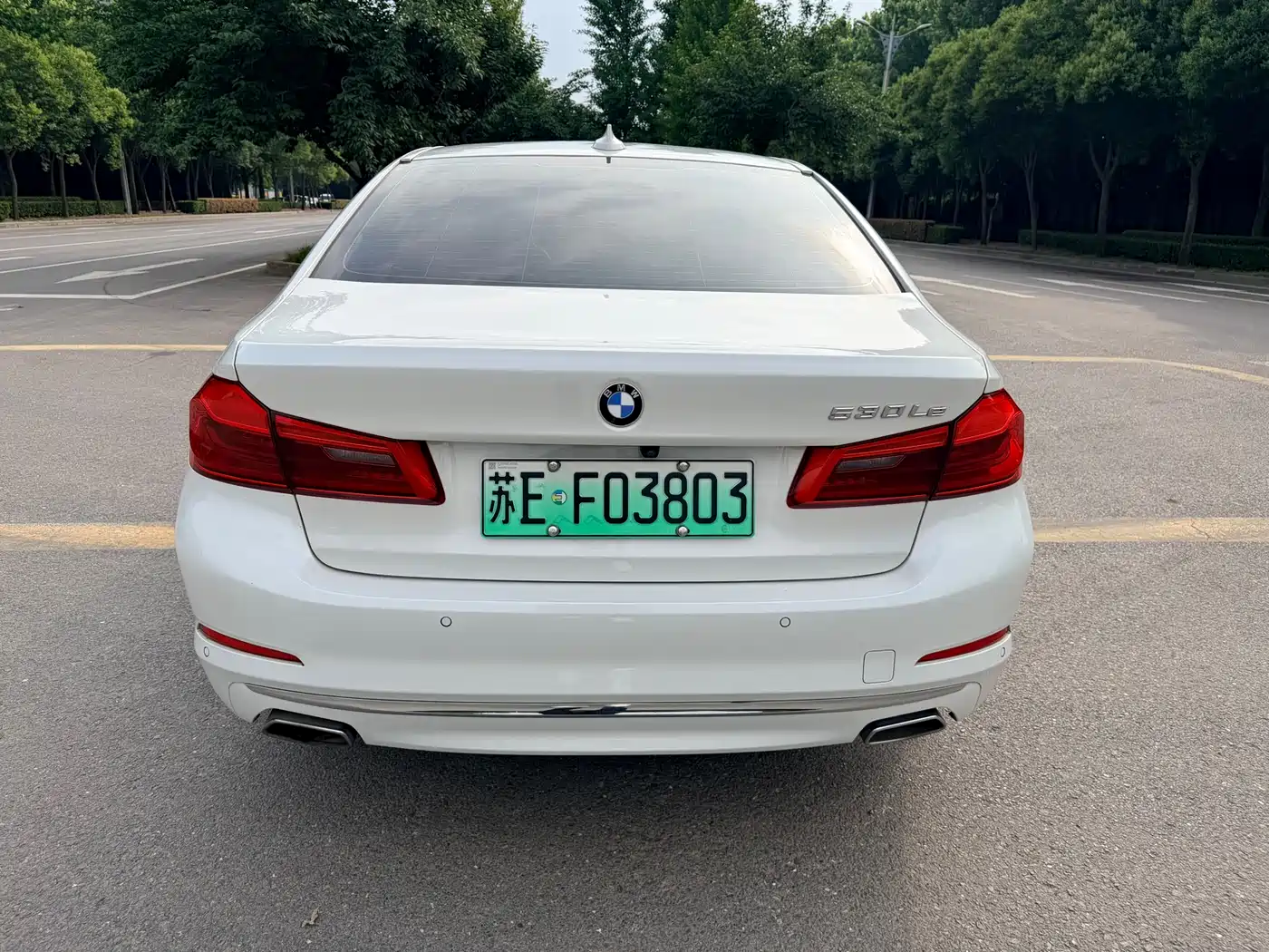 BMW 5 Series New Energy 2020 530Le Range Upgrade Luxury Package фото 9
