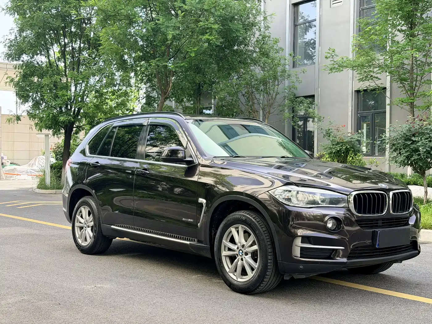 BMW X5 (Import) 2014 xDrive35i Elegance фото 3