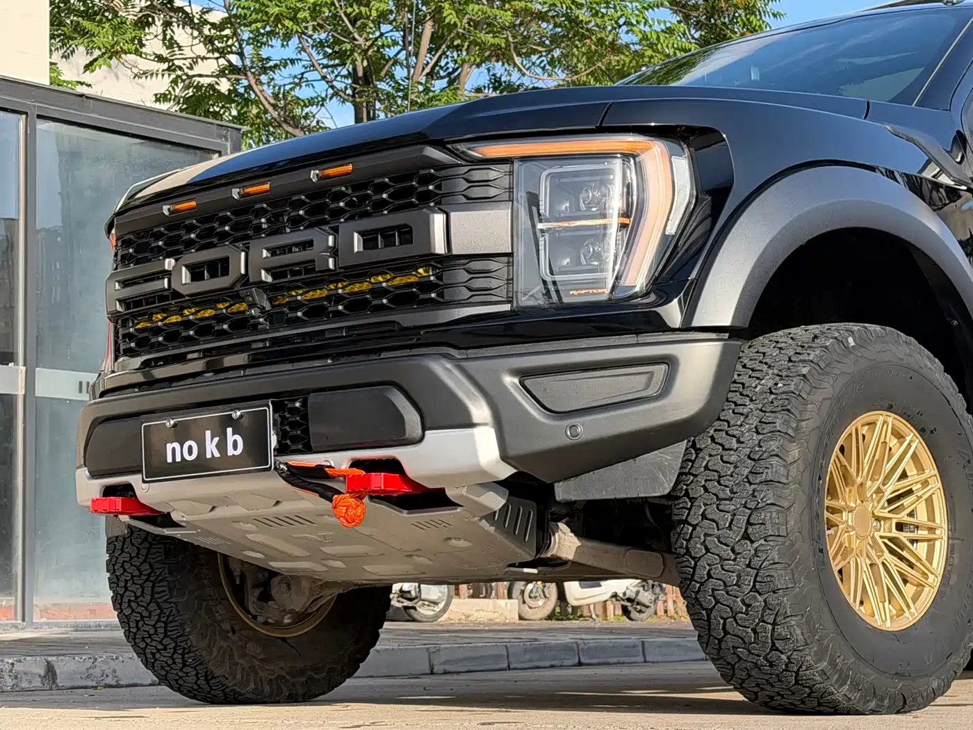FORD F-150 RAPTOR