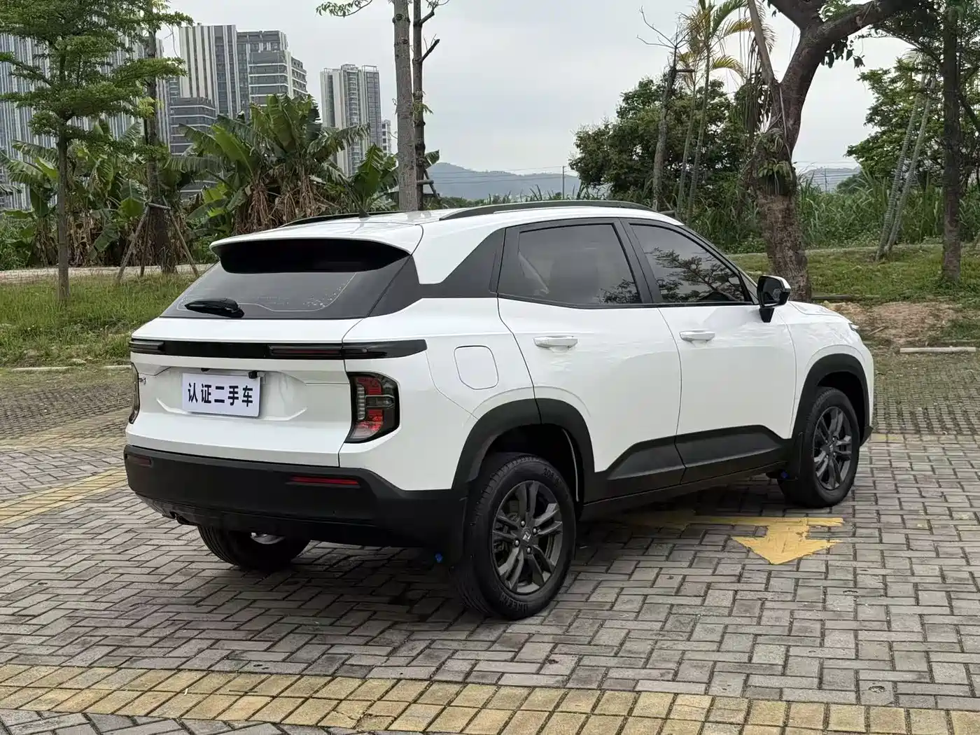 BAOJUN RS 3