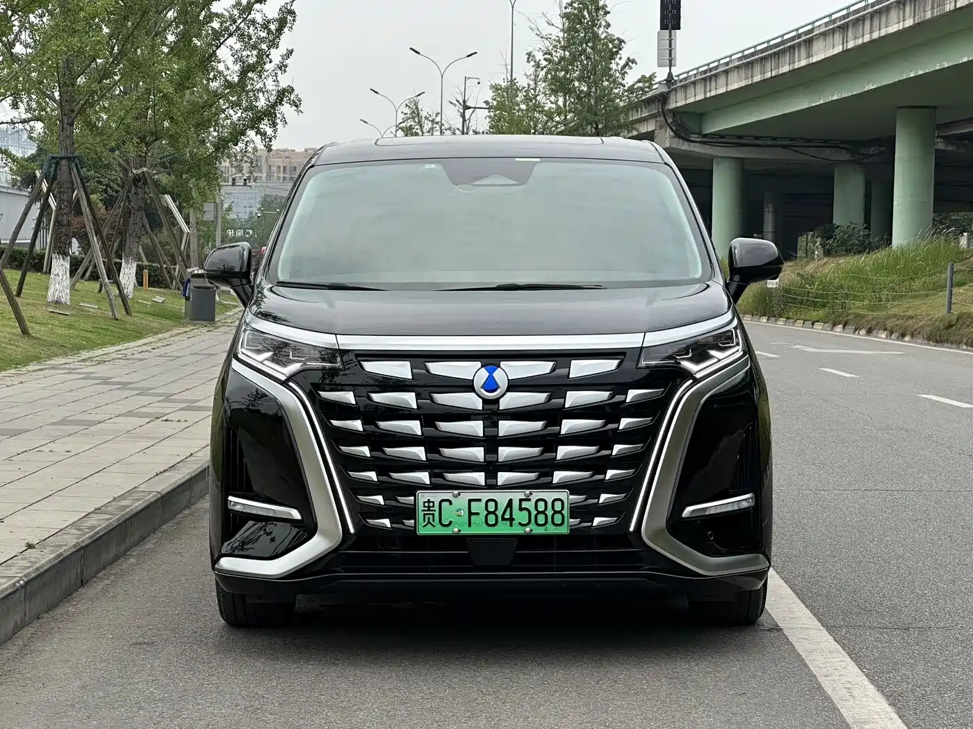 Denza D9 2024 DM-i 980 AWD Prestige фото 2