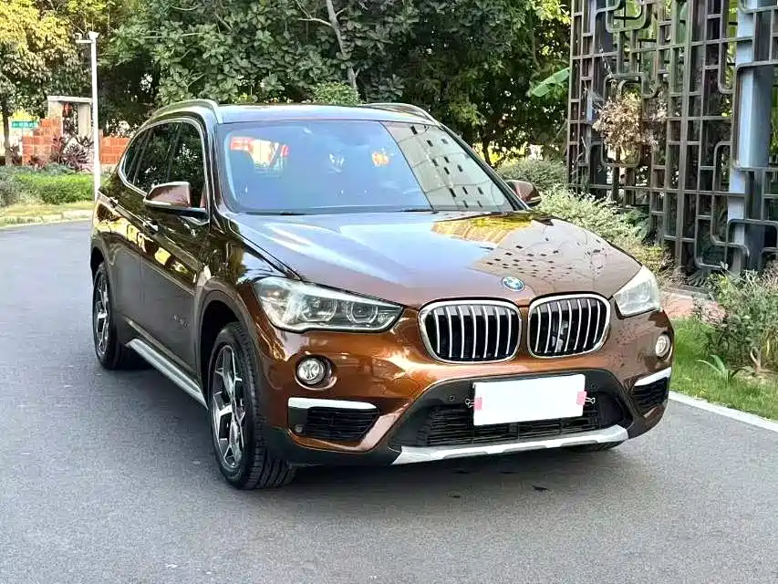 BMW X1 2016 xDrive20Li Luxury Model фото 3