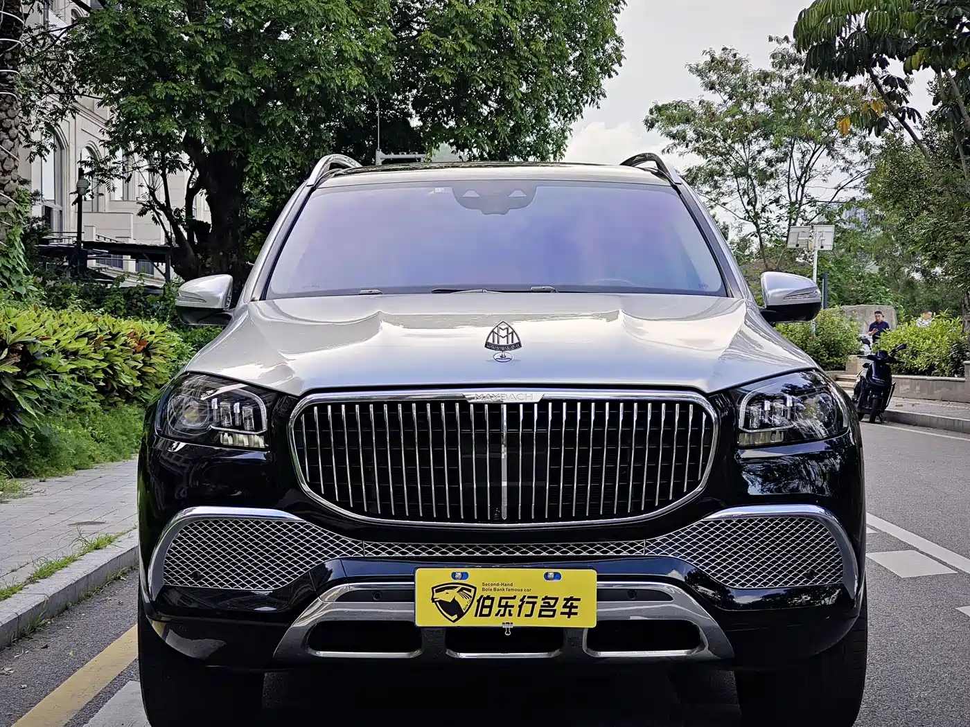 Mercedes-Benz Maybach GLS 2021 GLS 480 4MATIC фото 2