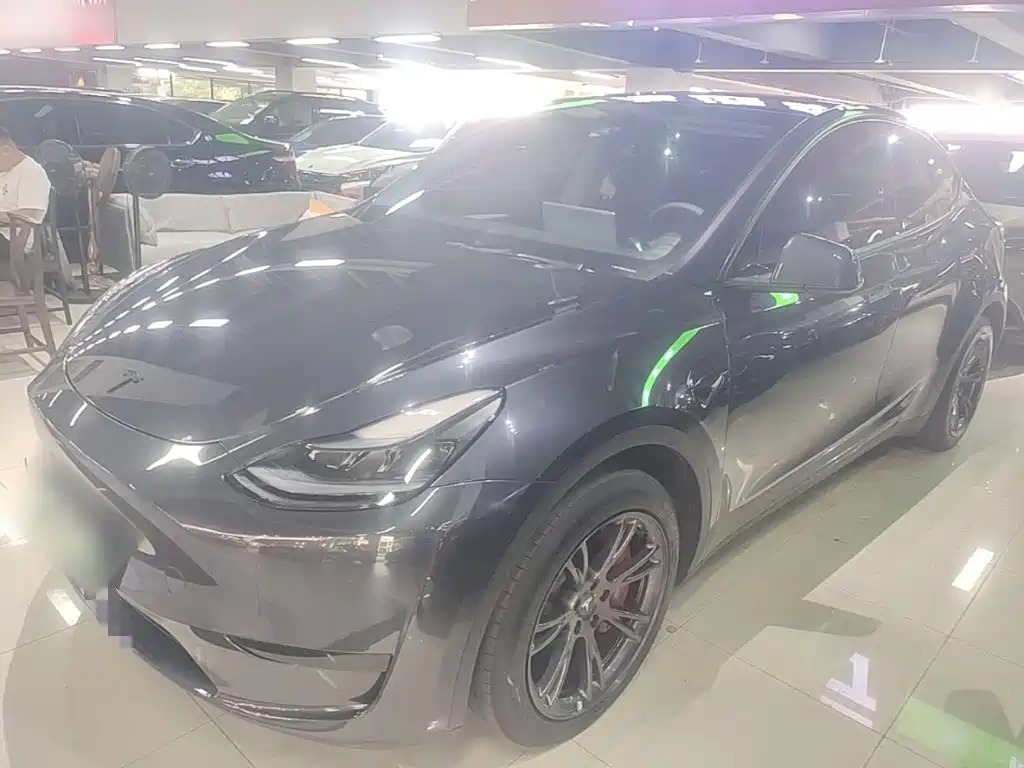 Tesla Model Y 2024 Rear-Wheel Drive Version