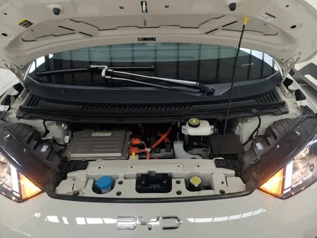 BYD Seagull 2026 2025 Smart Drive Edition 305km Vitality Version