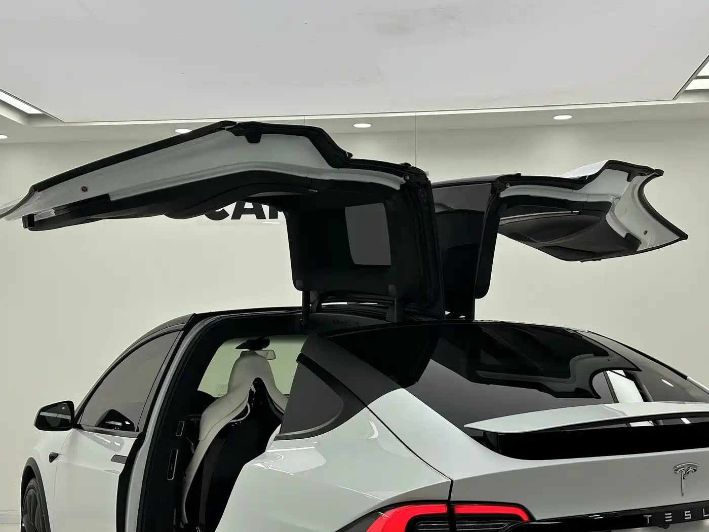 TESLA MODEL X