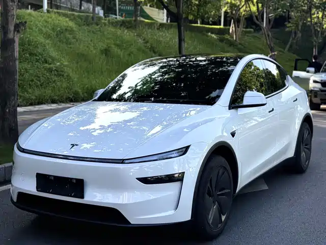 Tesla Model Y 2025 Rear-Wheel Drive