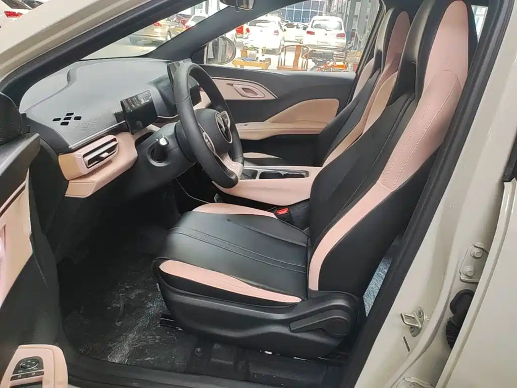 BYD Seagull 2026 2025 Smart Drive Edition 305km Vitality Version