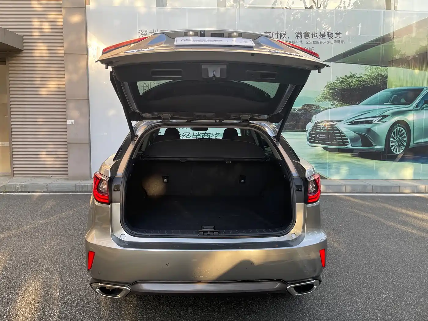 Lexus RX 2017 2016 300 2WD Elite Edition (China V)