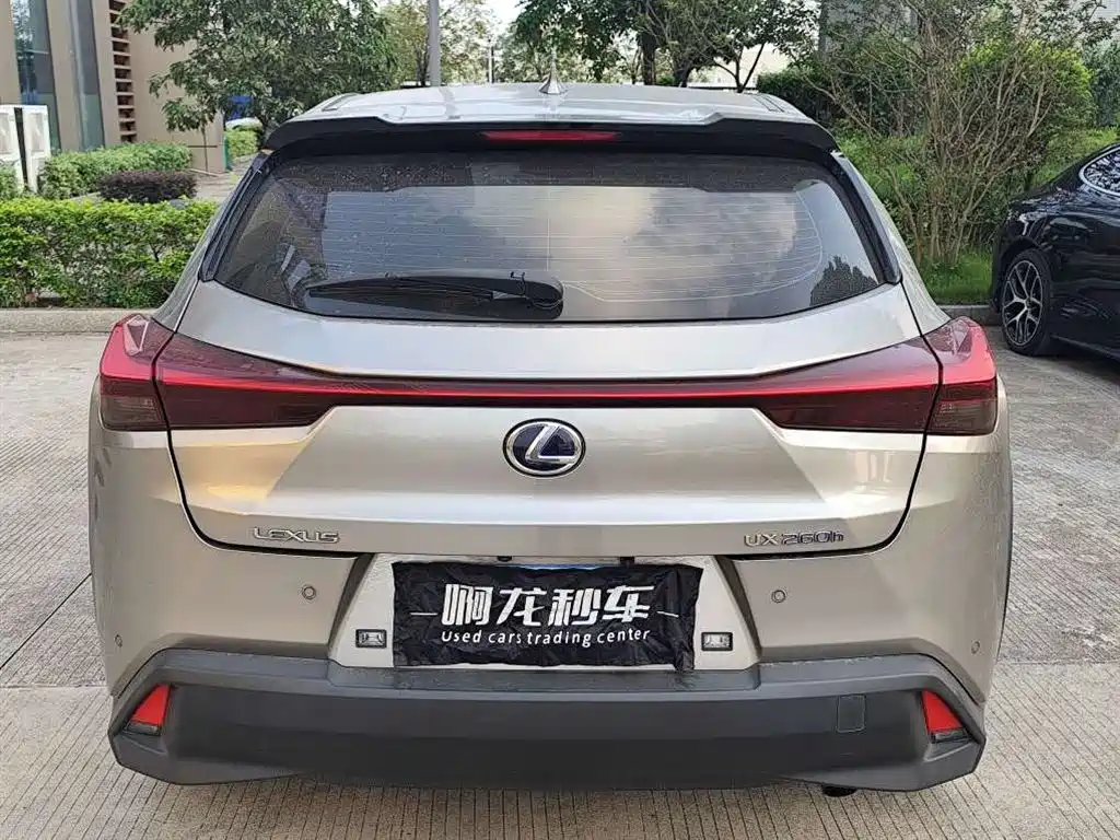 Lexus UX 2021 2020 260h Explore Fun Edition