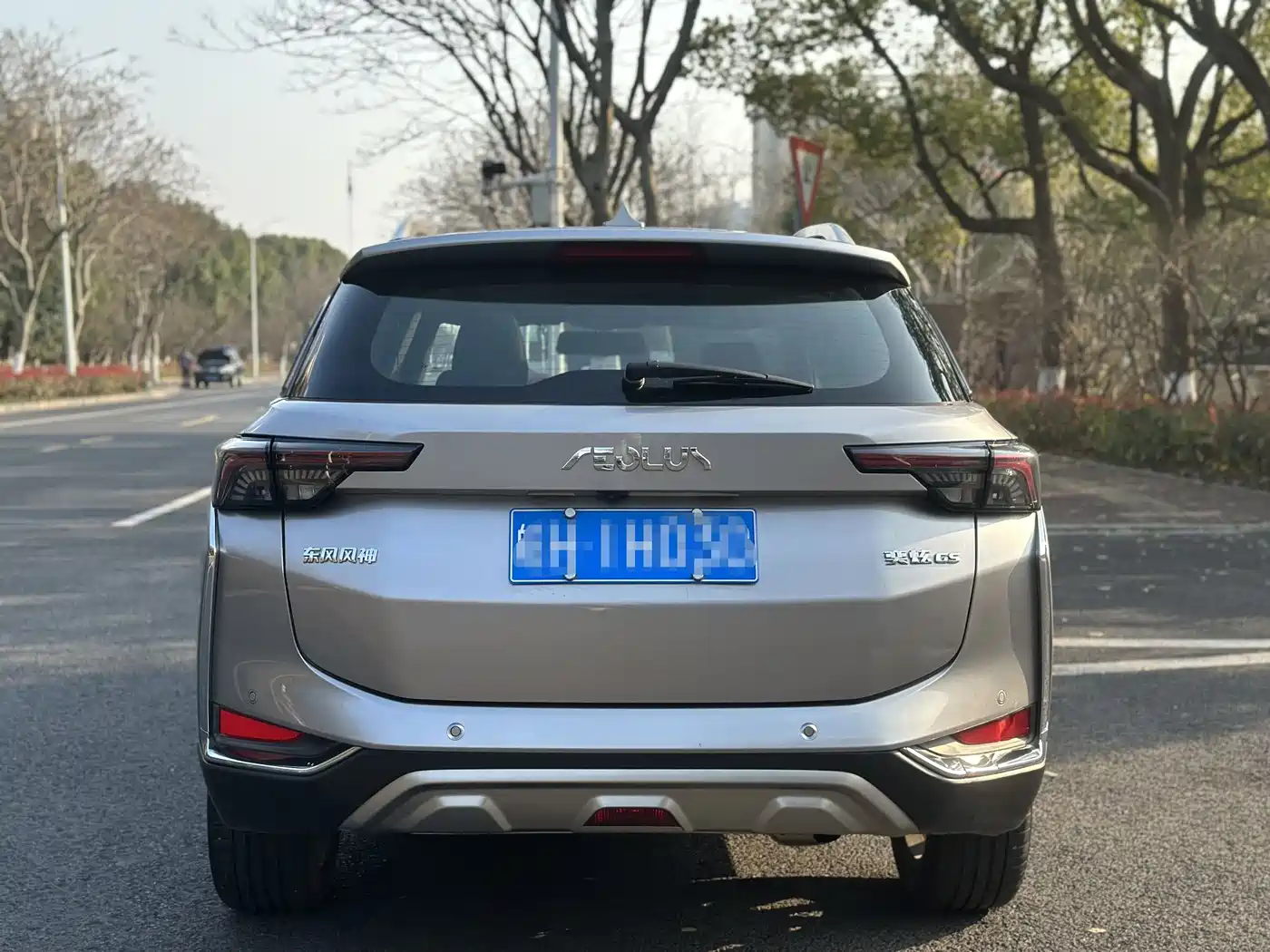 DONGFENG YI HYUN GS