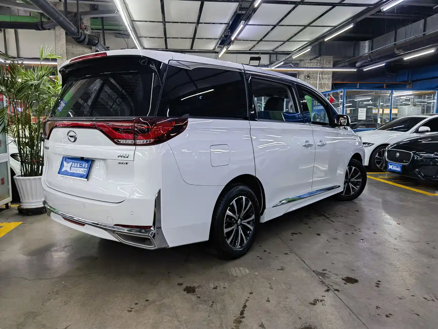 GAC Trumpchi Trumpchi M8 2024 Leadershow Series 390T Luxury Edition фото 6
