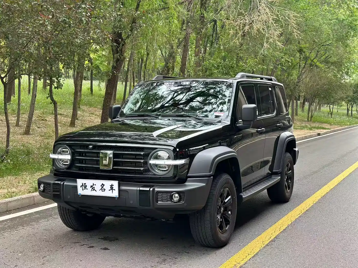TANK 300