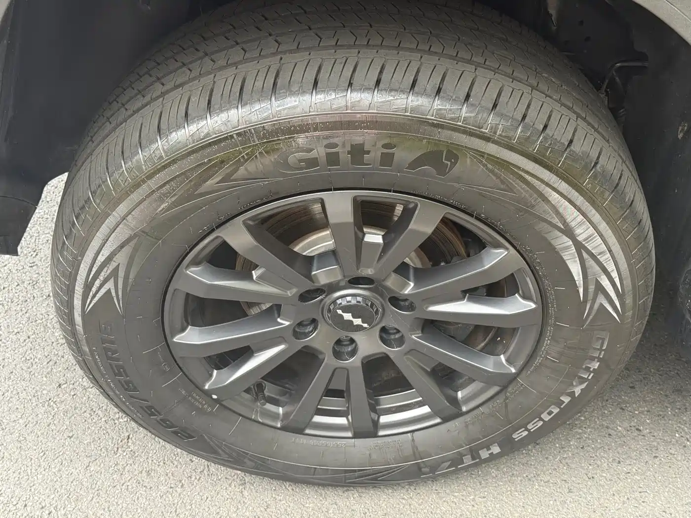 FANG CHENG BAO LEOPARD 5