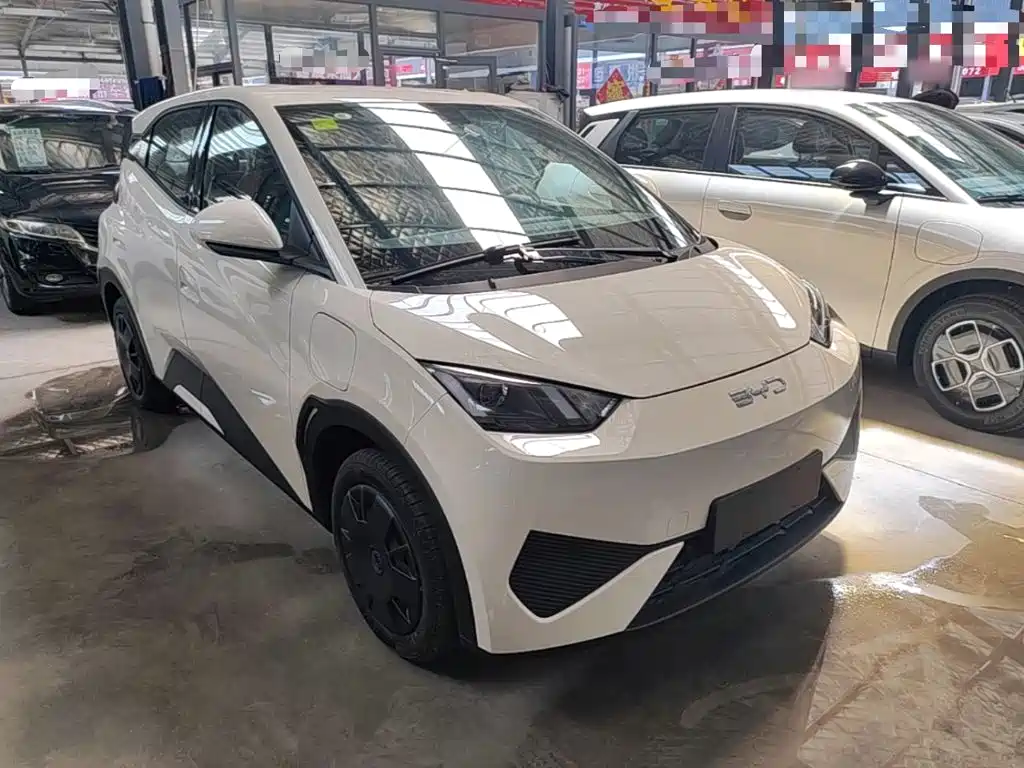 BYD Seagull 2026 2025 Smart Drive Edition 305km Vitality Version