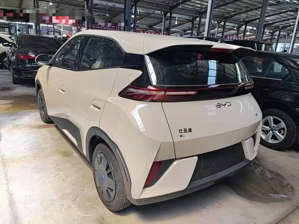BYD Seagull 2026 2025 Smart Drive Edition 305km Vitality Version
