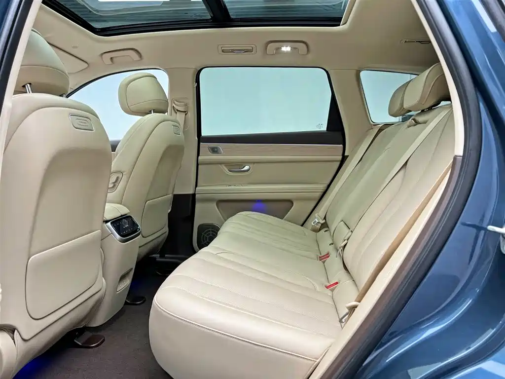 AITO Wenjie AITO M7 2024 1.5T Smart Drive RWD Pro 5-seater фото 15