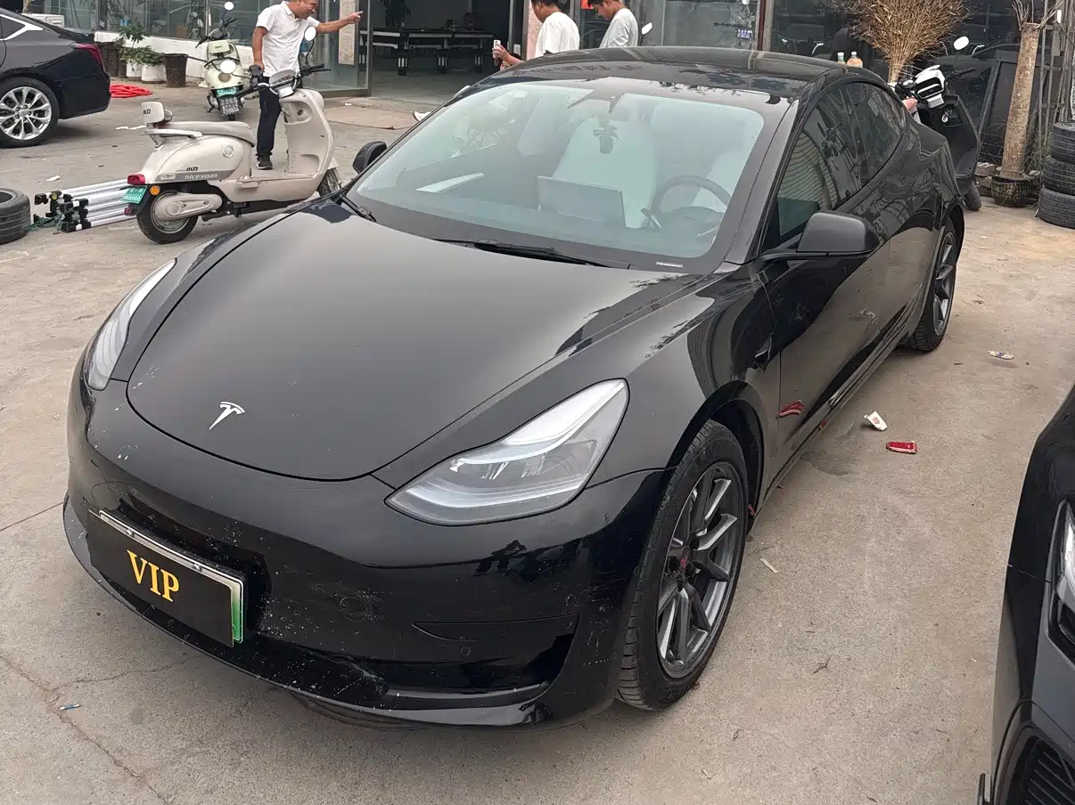 Tesla Model 3 2021 Standard Range Rear-Wheel Drive Upgrade 3D6