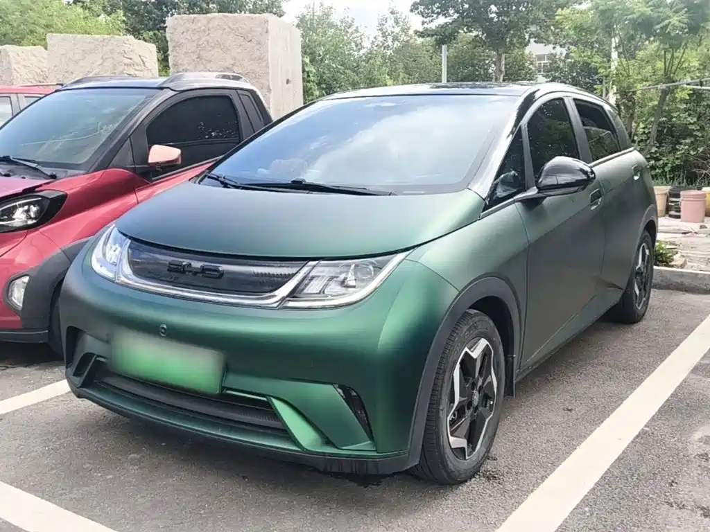 BYD Dolphin 2021