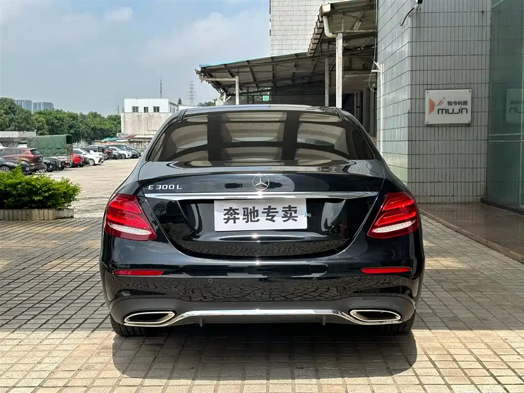 Mercedes-Benz E-Class 2019 E 300 L Sport Luxury фото 6