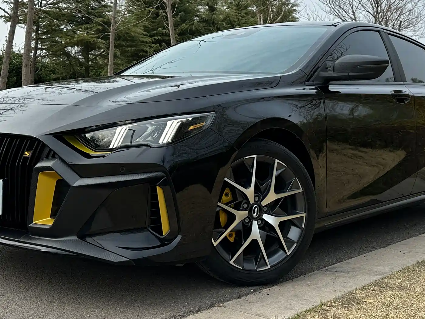 GAC TRUMPCHI SHADOW LEOPARD