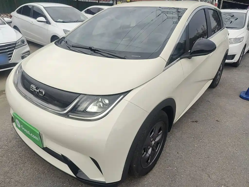 Photo 2 - BYD Dolphin