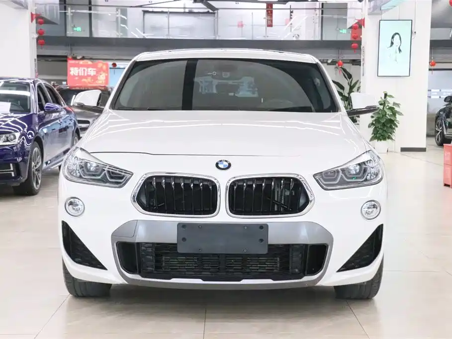 BMW X2 (Import) 2019 sDrive20i M Off-Road Package China VI фото 2