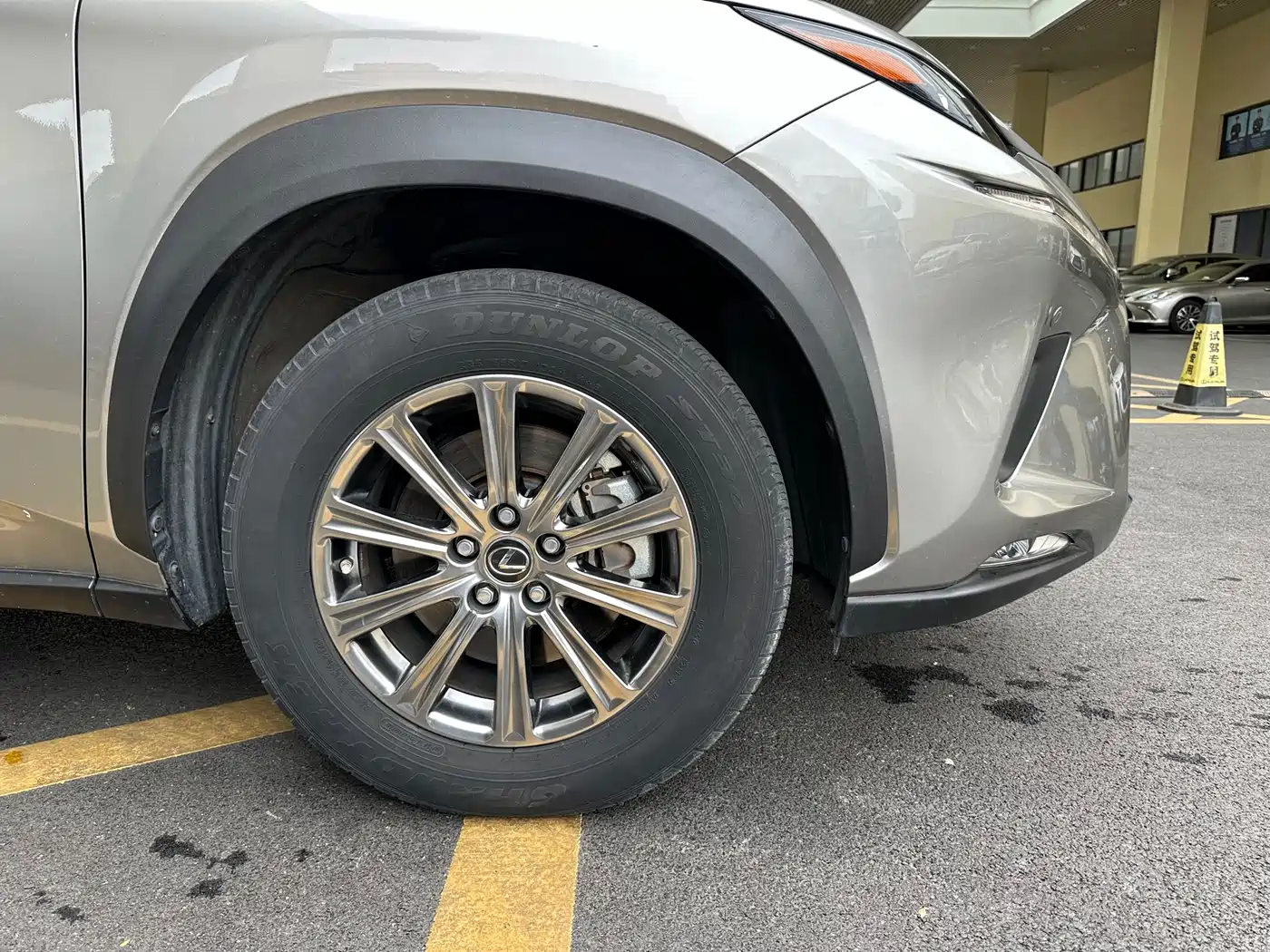 Lexus NX 2018 Model 200 AWD Fengshang Edition China V фото 26