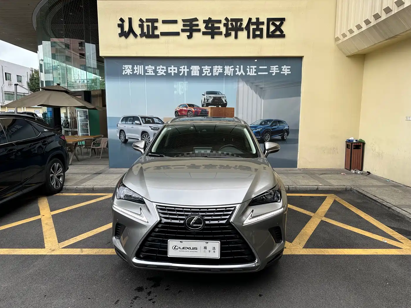 Lexus NX 2018 Model 200 AWD Fengshang Edition China V фото 6