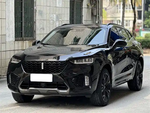 WEI PAI WEI BRAND VV7